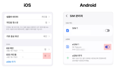 eSIM 회선 활성화 — 끔/켬 확인 (2)
