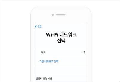 iOS USIM — 와이파이 접속